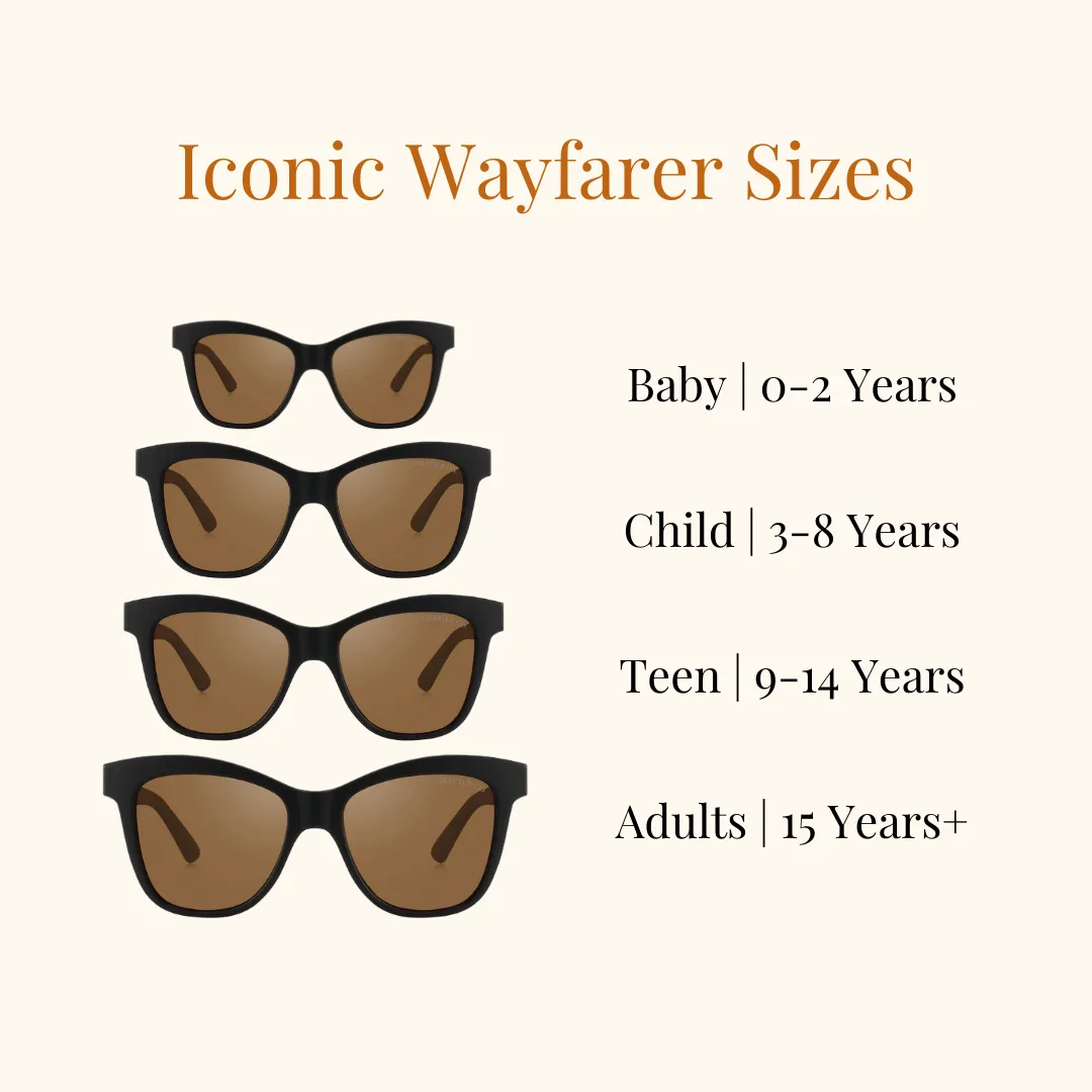 Iconic Wayfarer | Polarized Sunglasses | Black